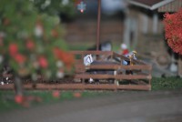 /album/maquete-geral/dsc-3511-jpg/