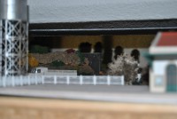 /album/maquete-do-joaquim-mendes/dsc-4416-jpg/