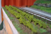 /album/modulo-maquetren/dsc-4824-jpg/